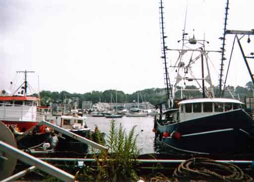 Rocky Neck Cove - August, 2009