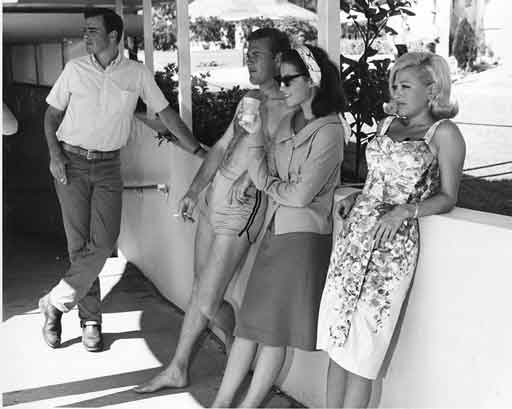 Glen Corbett, Martin Milner, Diane Baker and Paula Stewart.