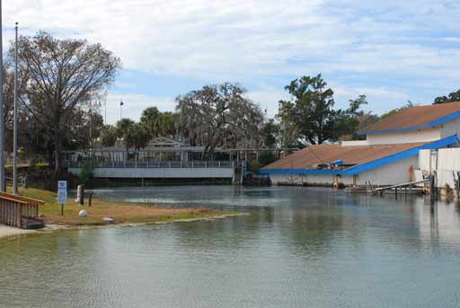 Weeki Wachee Spring - 2010