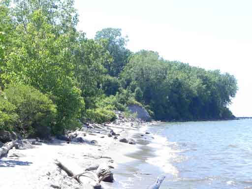 Edgewater Park - 2010