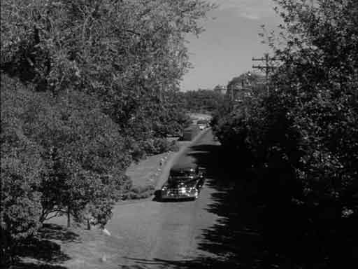 Driveway of the Adams Mansion - 1961